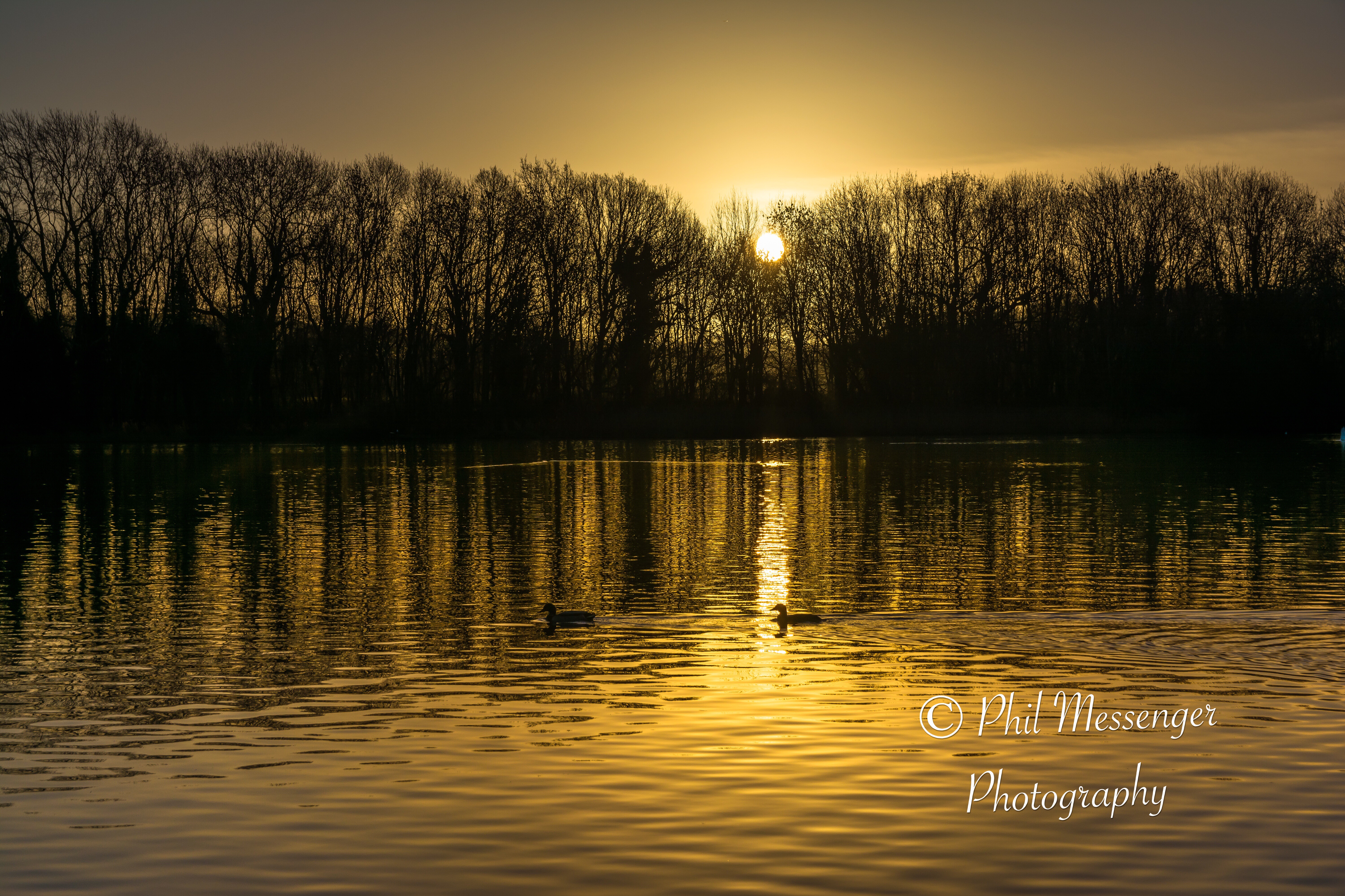 Early morning sunrise at Coate Water, Swindon.