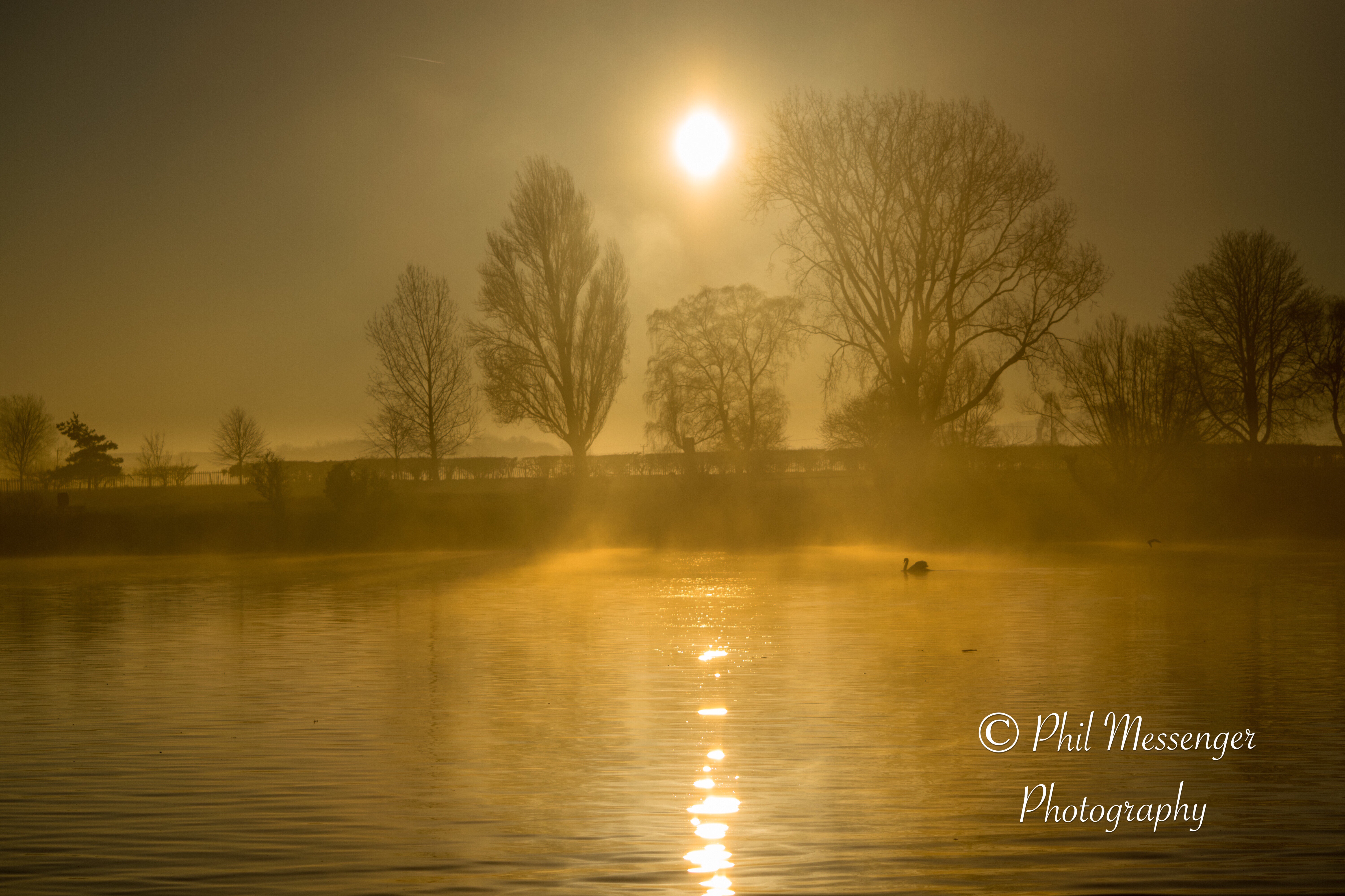Early morning foggy sunrise at Coate Water, Swindon.
