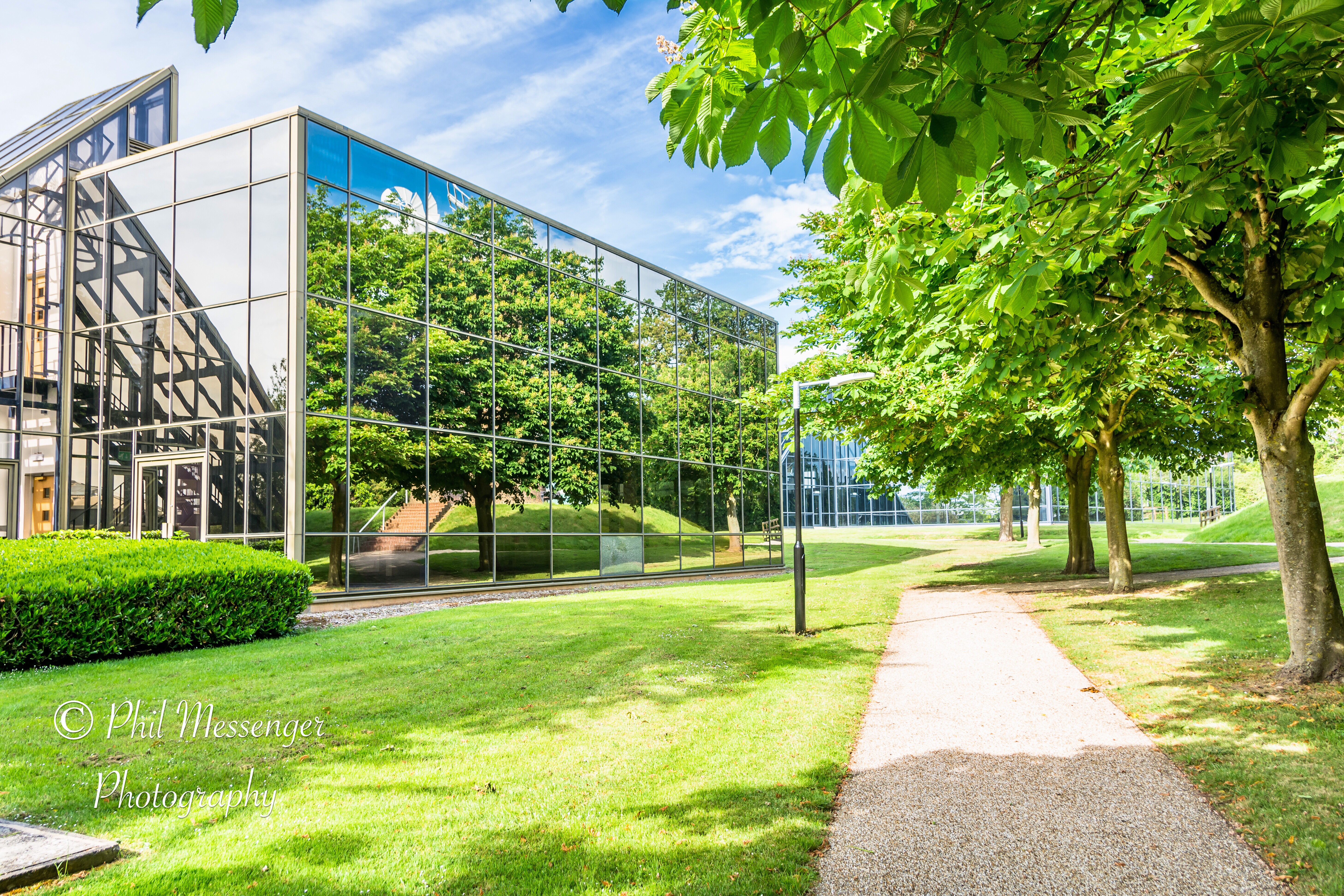 Horse chestnut trees reflecting on a glass building at Windmill Hill Business park, Swindon.