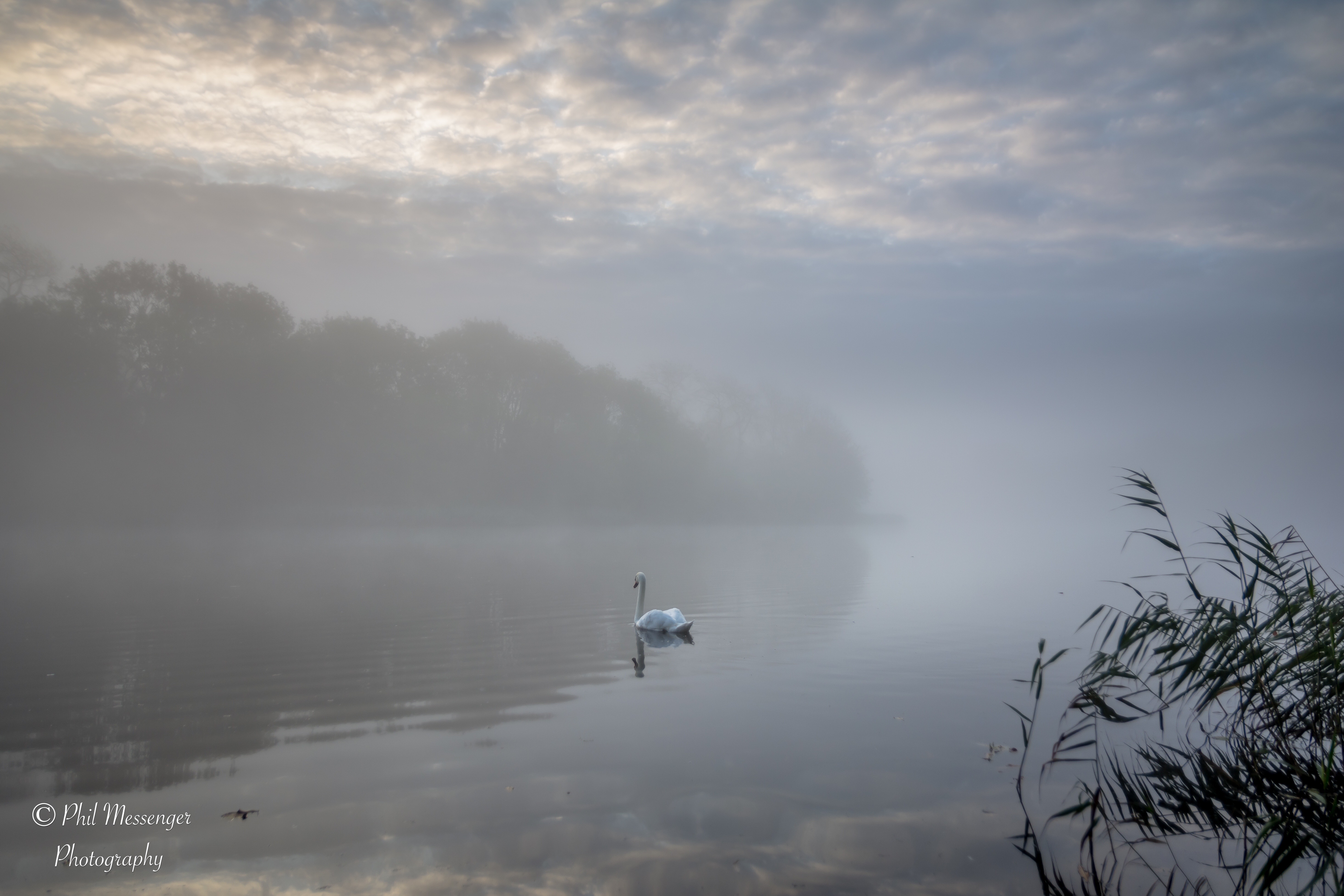 A foggy morning at Coate Water, Swindon.