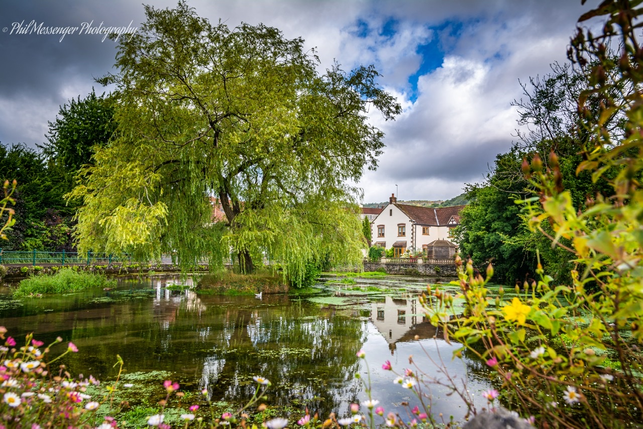 loved this little scene of the cottage reflecting in the pond with the willow tree and flowers in Cheddar Gorge Somerset.