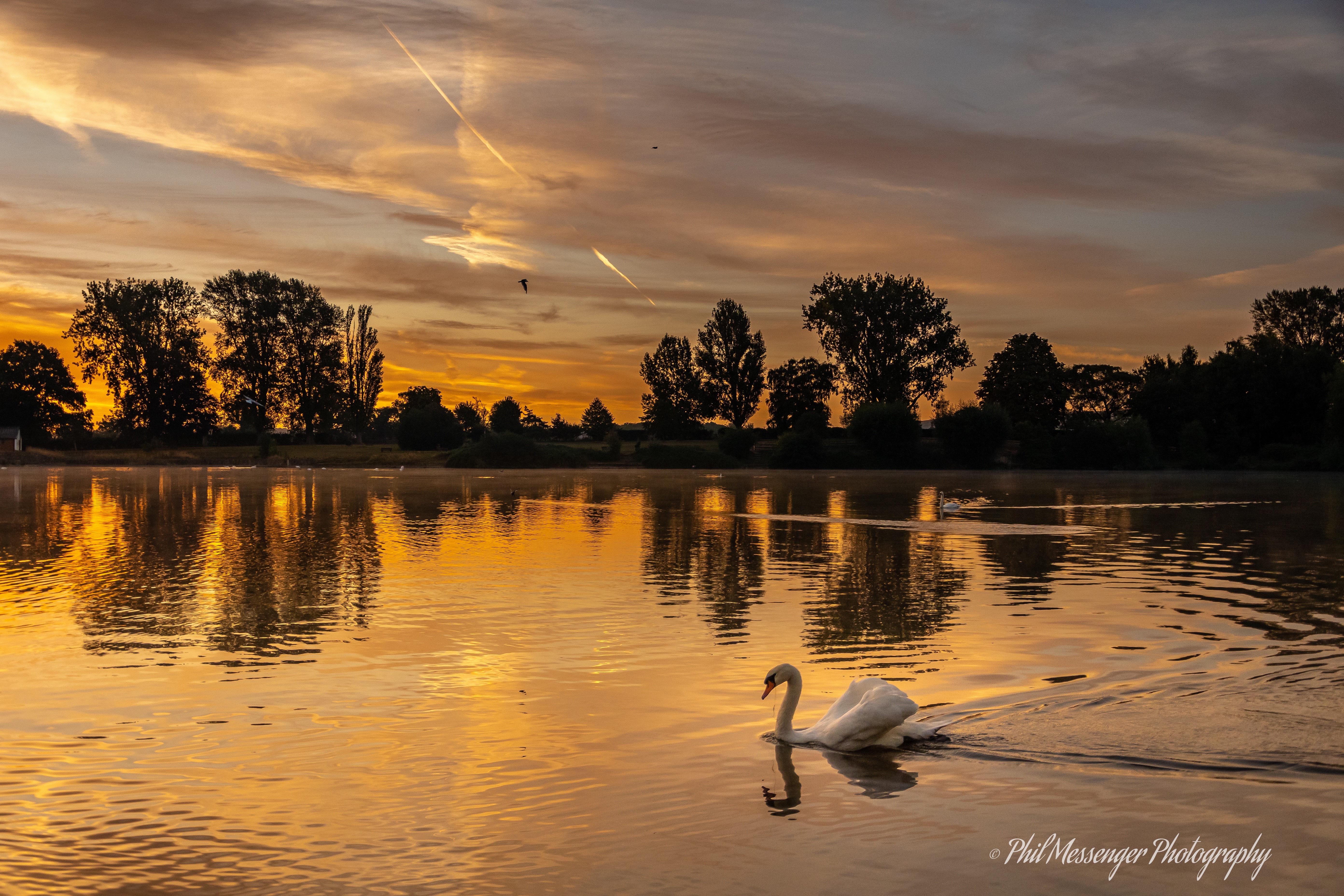 On golden pond at Coate Water Swindon.