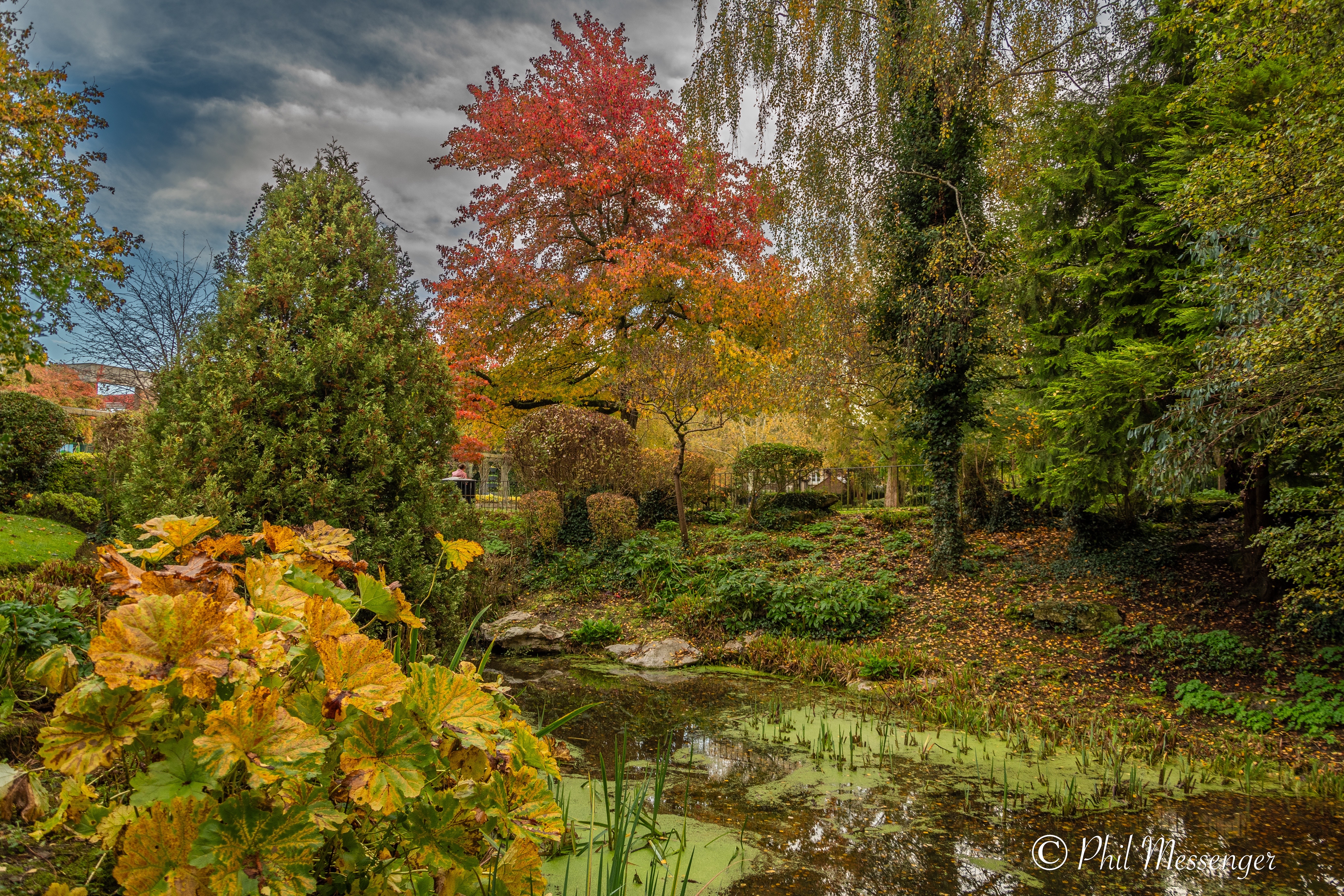 Autumn colours a t Queens park, Swindon UK