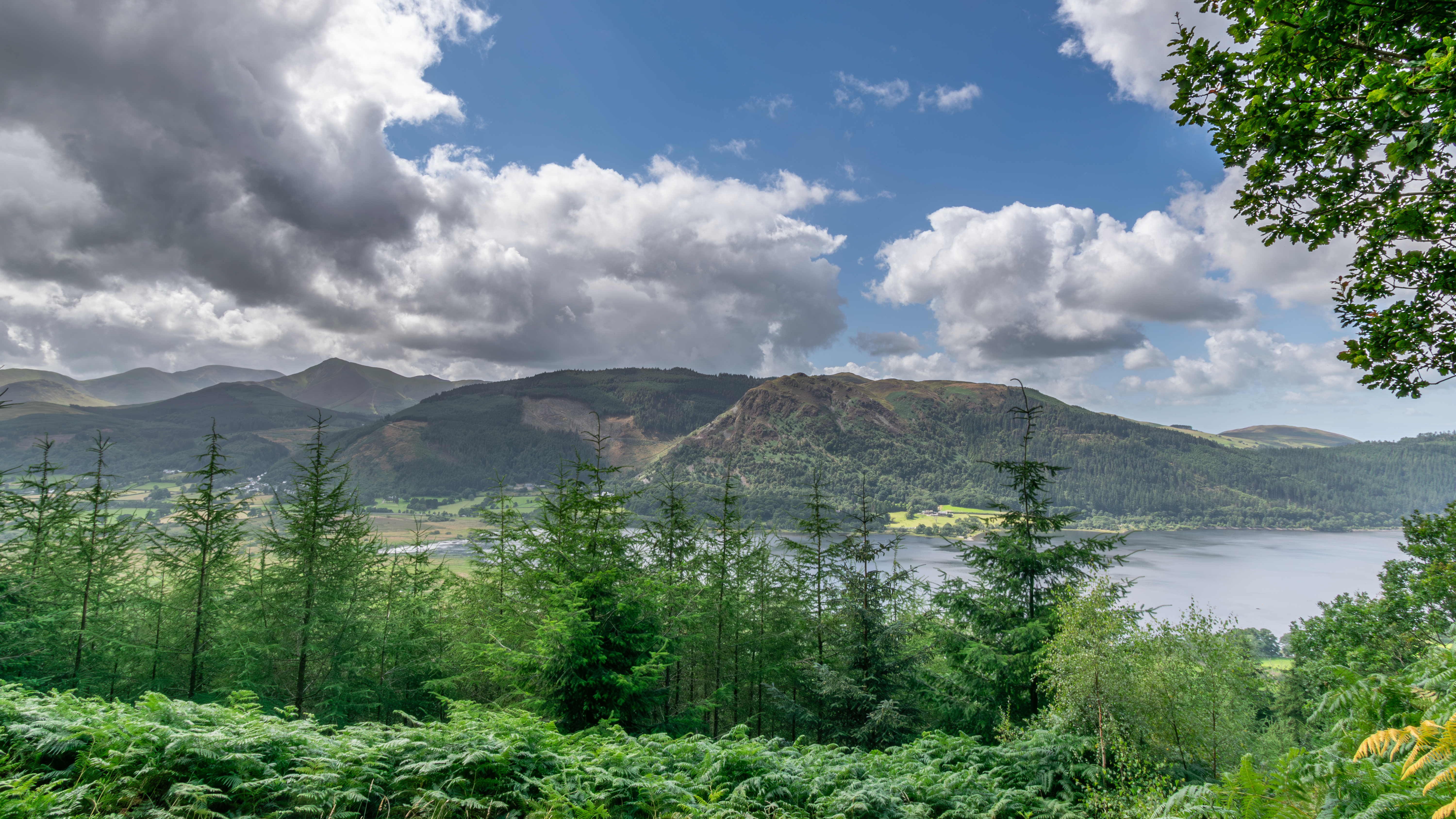 A walk up Dodd Wood near Keswick